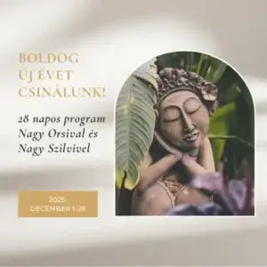 BÚÉCS 2.0 - 28 napos program - Egyösszegű befizetéssel